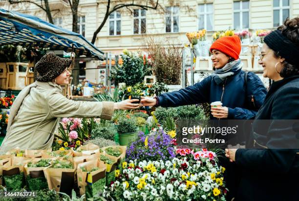 frauen kaufen pflanzen auf dem flohmarkt im herbst ein - discussion germany outdoor friends stock-fotos und bilder