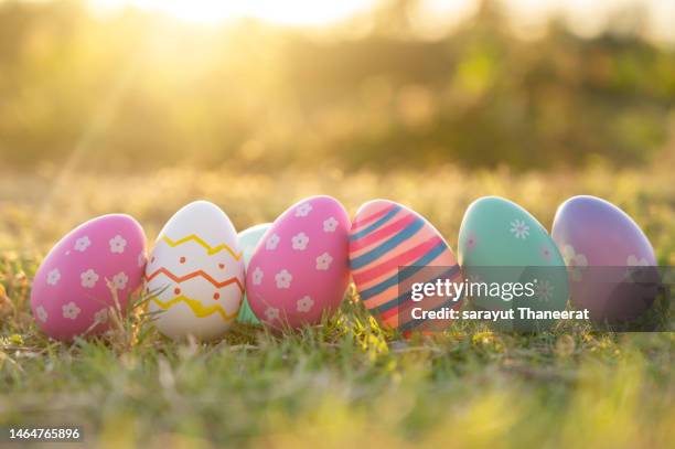 an easter egg sits in the lawn in the evening golden sun. at easter - easter egg stockfoto's en -beelden