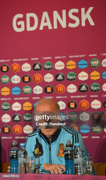 In this handout image provided by UEFA, Coach Vicente del Bosque of Spain talks to the media during a UEFA EURO 2012 press conference at the...