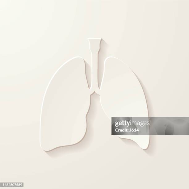 simple lungs shape - healthy vs unhealthy lungs stock illustrations
