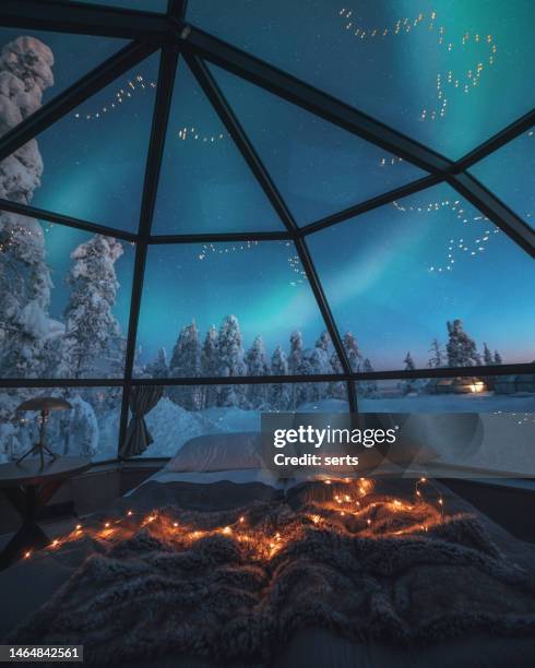 enjoying a view of the northern lights - fins lapland stockfoto's en -beelden