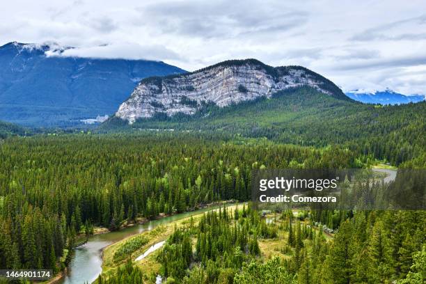 bow river and mt rundle, banff national park, canada - banff stock-fotos und bilder