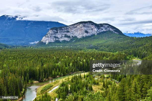 bow river and mt rundle, banff national park, canada - national imagens e fotografias de stock