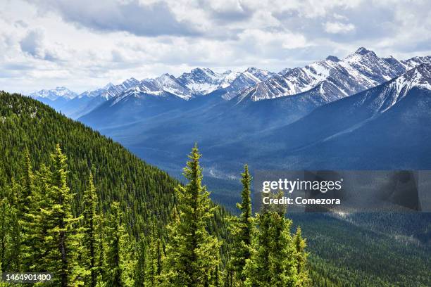 canadian rockies, banff national park, canada - sulphur mountain fotografías e imágenes de stock