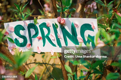 Spring Background With Green Spring Text Written On White Paper Hanging ...