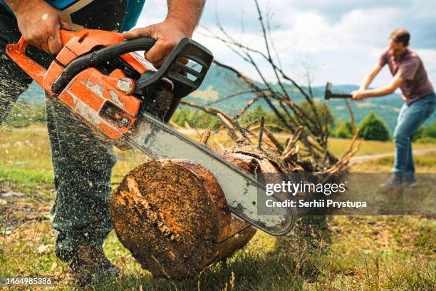 man sawing a tree with a chainsaw - chainsaw stock pictures, royalty-free photos & images