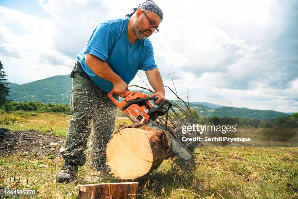 man sawing a tree with a chainsaw - lumberjack stock pictures, royalty-free photos & images