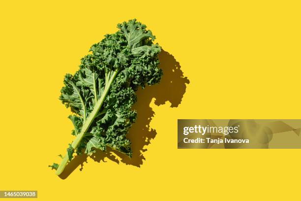 fresh green organic kale leaves on yellow background. healthy food, diet and detox concept. flat lay, top view, copy space - couve imagens e fotografias de stock