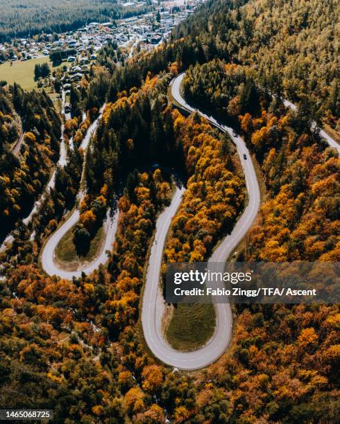 elevated view of winding road through forest in autumn - schweiz stadt landschaft stock-fotos und bilder