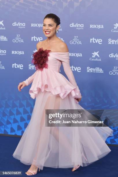 Juana Acosta attends the red carpet at the Goya Awards 2023 at FIBES Conference and Exhibition Centre on February 11, 2023 in Seville, Spain.