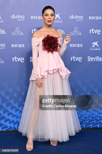 Juana Acosta attends the red carpet at the Goya Awards 2023 at FIBES Conference and Exhibition Centre on February 11, 2023 in Seville, Spain.