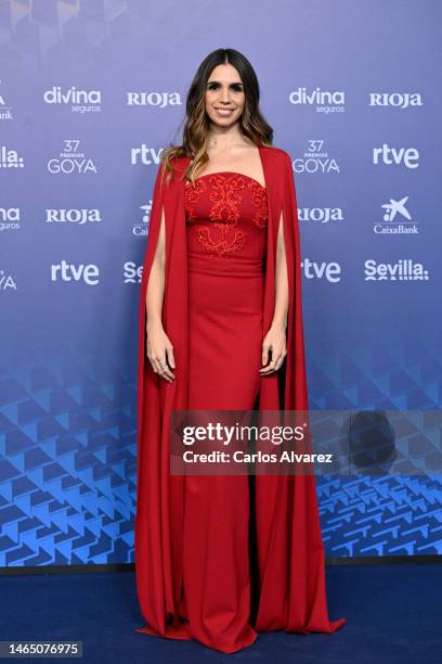 Elena Furiase attends the red carpet at the Goya Awards 2023 at FIBES Conference and Exhibition Centre on February 11, 2023 in Seville, Spain.