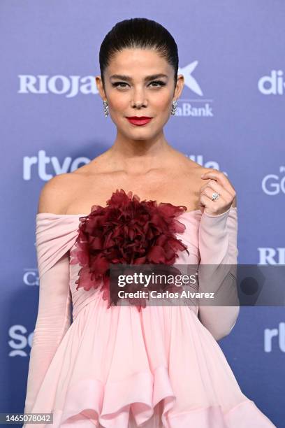 Juana Acosta attends the red carpet at the Goya Awards 2023 at FIBES Conference and Exhibition Centre on February 11, 2023 in Seville, Spain.