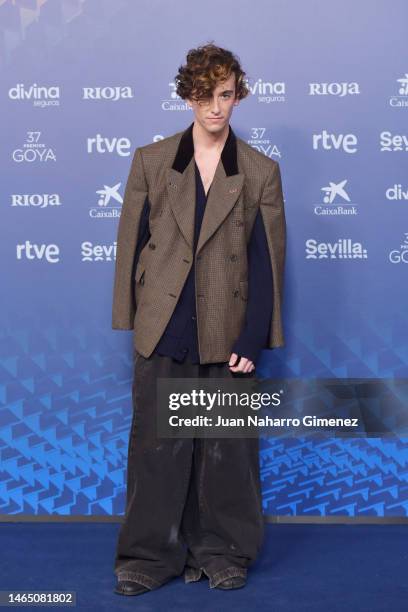 Alvaro Lafuente Calvo, a.k.a. Guitarricadelafuente, attends the red carpet at the Goya Awards 2023 at FIBES Conference and Exhibition Centre on...