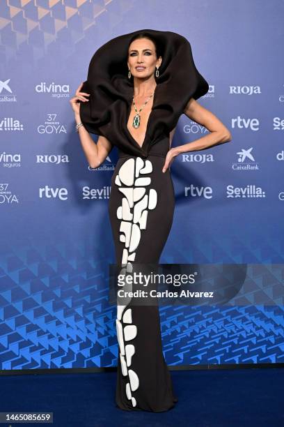 Nieves Alvarez attends the red carpet at the Goya Awards 2023 at FIBES Conference and Exhibition Centre on February 11, 2023 in Seville, Spain.