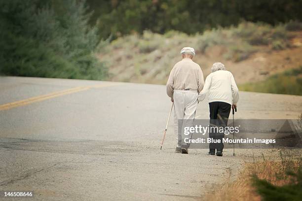 twilight walk - walking cane stockfoto's en -beelden