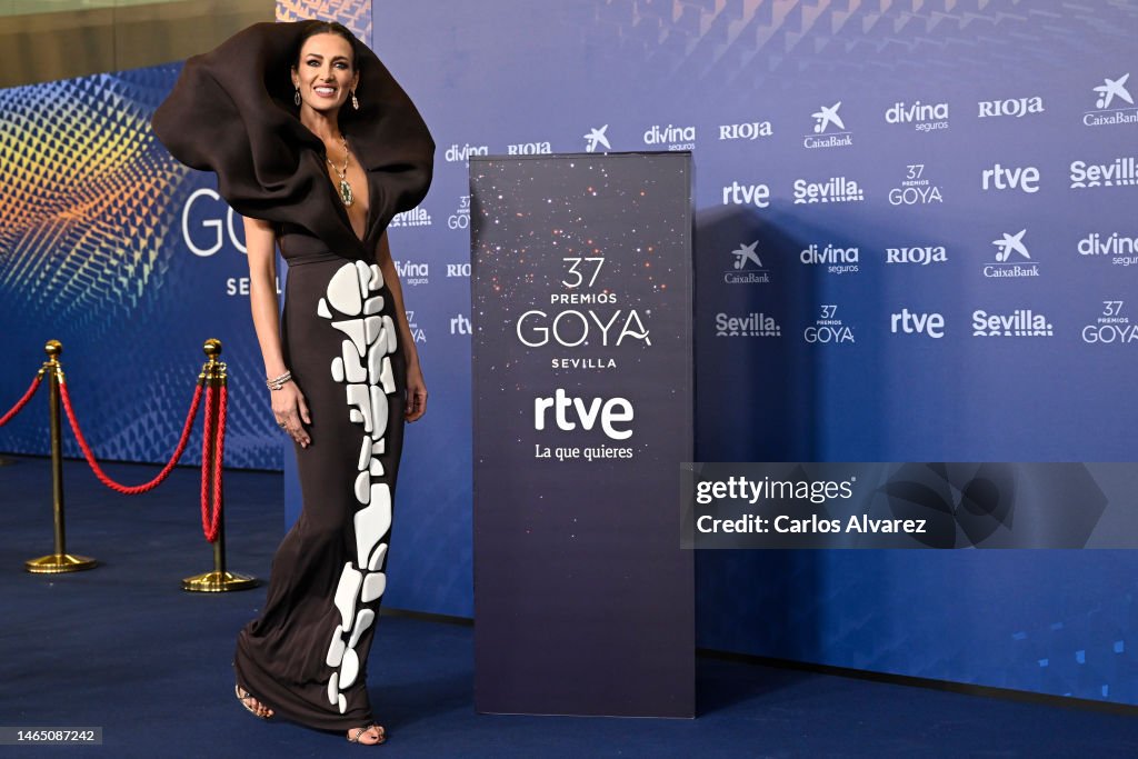 nieves-alvarez-attends-the-red-carpet-at-the-goya-awards-2023-at-fibes-conference-and.jpg