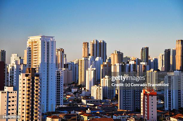 skyline of sao paulo - the aquarium of sao paulo stockfoto's en -beelden