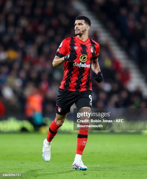 Dominic Solanke of Bournemouth during the Premier League match between AFC Bournemouth and Newcastle United at Vitality Stadium on February 11, 2023...