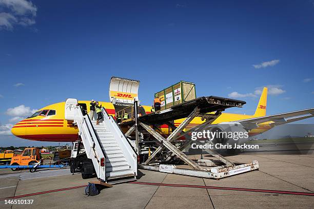 Rhino crates are loaded onto a specially enlisted DHL Boeing 757 ahead of leaving to be translocated to Tanzania at Manston airport on June 16, 2012...