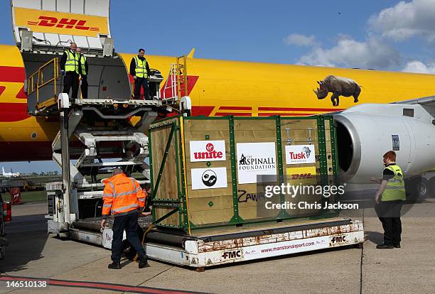 Rhino crates are loaded onto a specially enlisted DHL Boeing 757 ahead of leaving to be translocated to Tanzania at Manston airport on June 16, 2012...