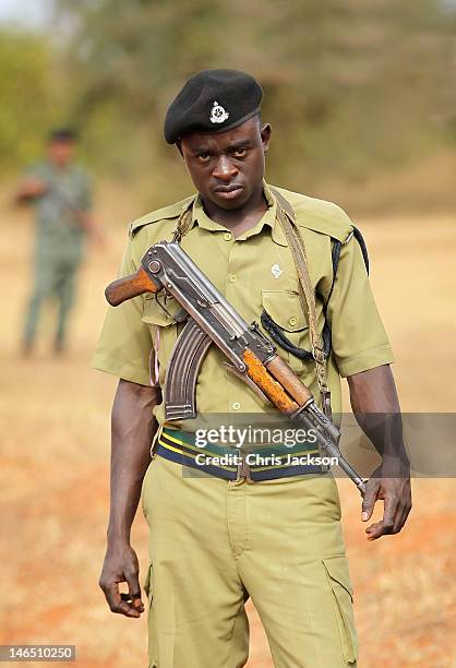 Tanzanian park rangers look on as three black rhino are transported from Kilimanjaro International Airport to Mkomazi National Park during a...