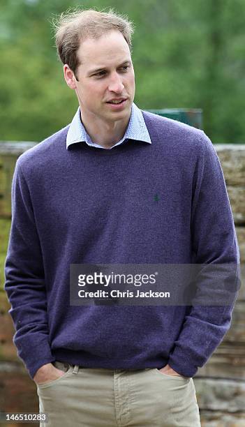 Prince William, Duke of Cambridge smiles as he visits Port Lympne Wild Animal Park on June 6, 2012 in Port Lympne, England. Prince William, Duke of...