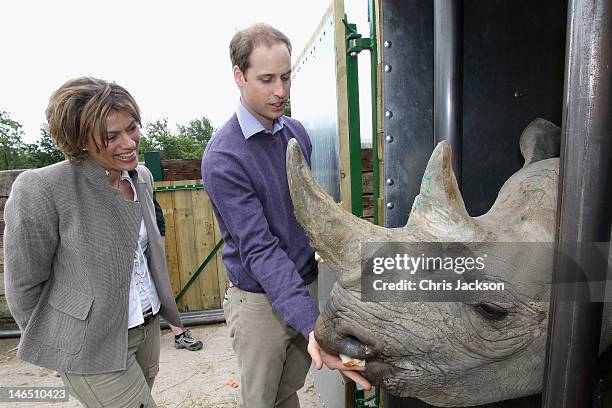 Prince William, Duke of Cambridge poses with 5 year old black rhino called Zawadi and BBC's Kate Silverton as he visits Port Lympne Wild Animal Park...