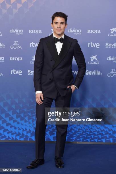 Alex Gonzalez attends the red carpet at the Goya Awards 2023 at FIBES Conference and Exhibition Centre on February 11, 2023 in Seville, Spain.