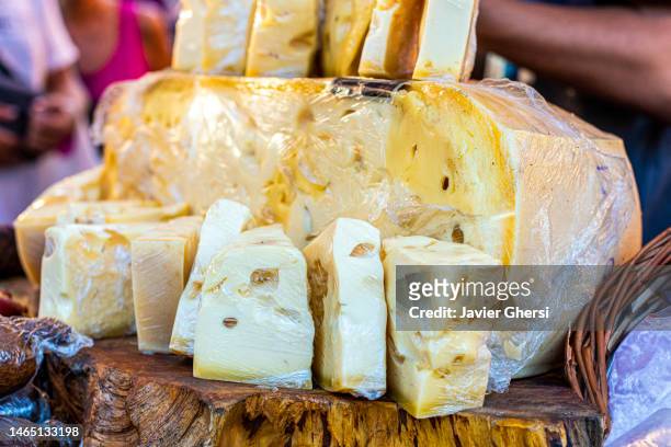 semi-soft cheese mold for sale. gouda cheese. gruyere cheese. - hartkäse stock-fotos und bilder