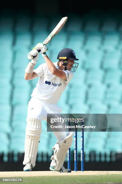 Daniel Hughes of the Blues bats during the Sheffield Shield match between New South Wales and Tasmania at Sydney Cricket Ground on February 12, 2023...