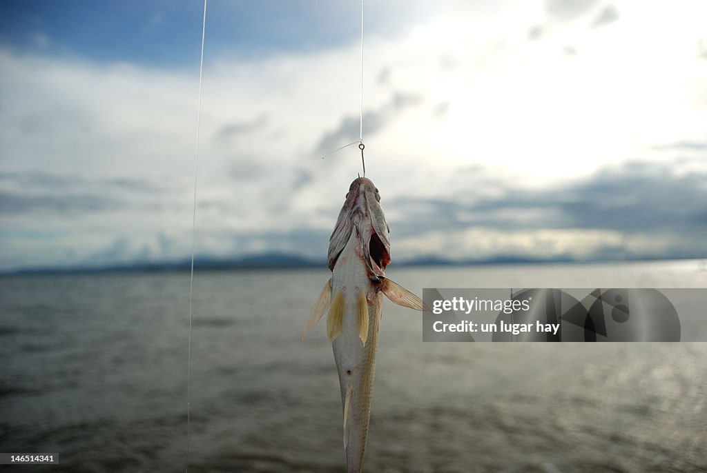 Fishing in pacific
