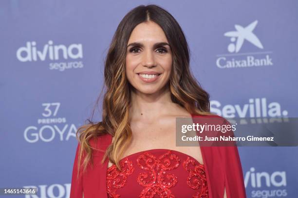 Elena Furiase attends the red carpet at the Goya Awards 2023 at FIBES Conference and Exhibition Centre on February 11, 2023 in Seville, Spain.