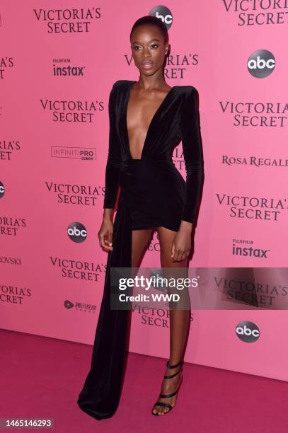 Victoria's Secret Fashion Show, After Party Pink Carpet Arrivals, New York, USA - 06 Nov 2018