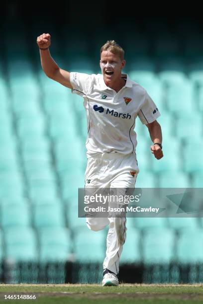 Nathan Ellis of the Tigers celebrates after taking the wicket of Daniel Hughes of the Blues during the Sheffield Shield match between New South Wales...
