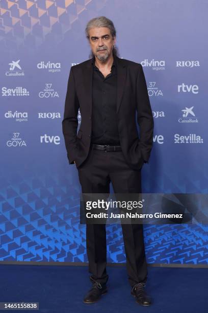 Fernando Leon de Aranoa attends the red carpet at the Goya Awards 2023 at FIBES Conference and Exhibition Centre on February 11, 2023 in Seville,...