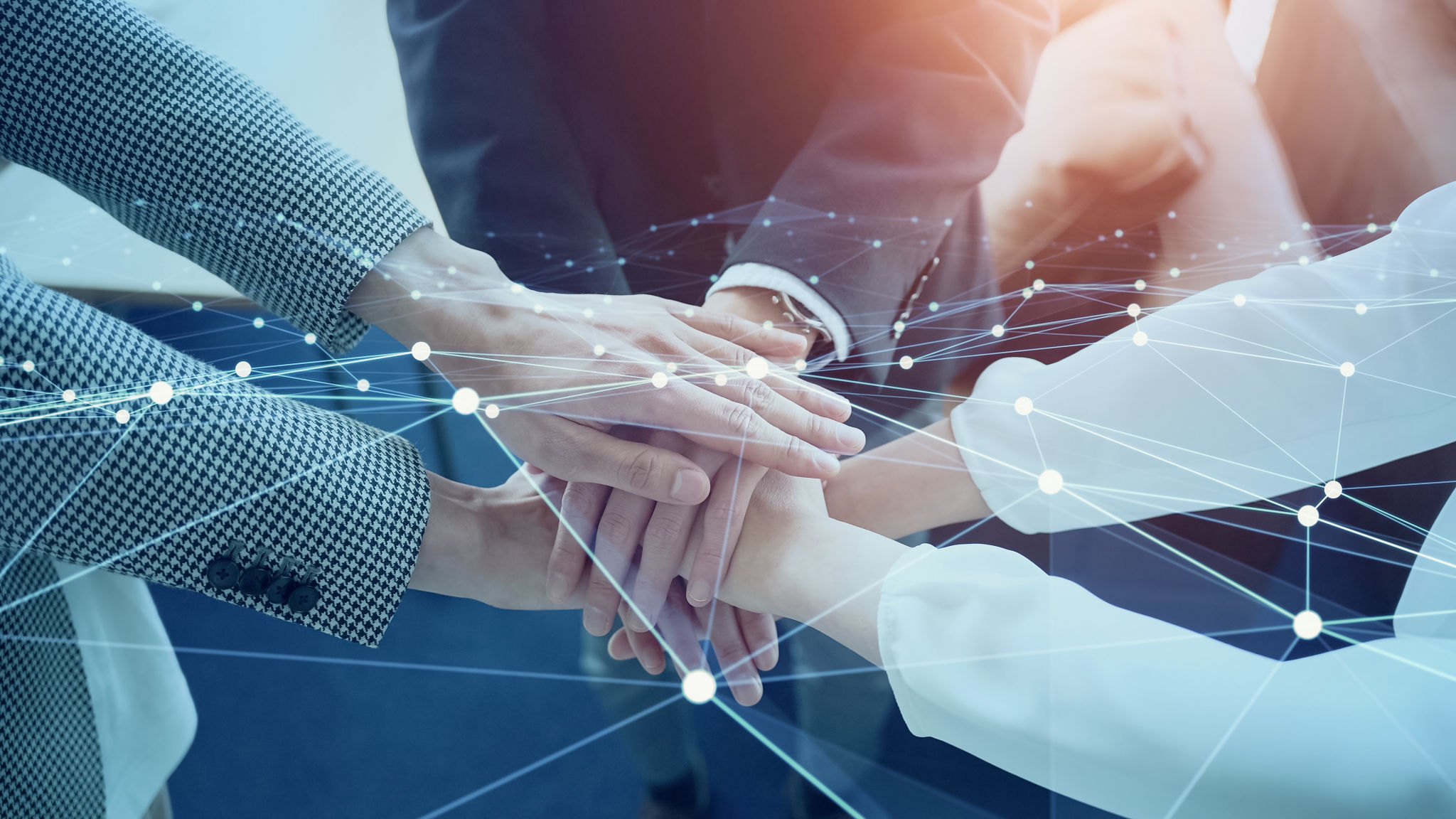 business support network