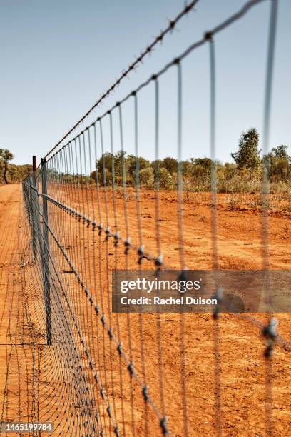 dingo fence - dingo fence stockfoto's en -beelden