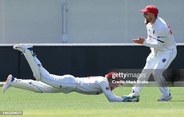 Harry Nielsen of the Redbacks catches Sam Whiteman of Western Australia at the feet of Jake Lehmann of the Redbacks bowled by Nathan McAndrew of the...