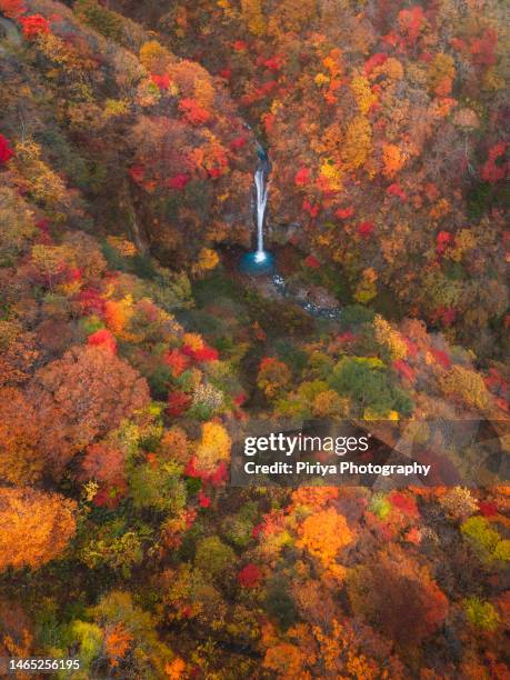 autumn waterfall from drone - valley foto e immagini stock