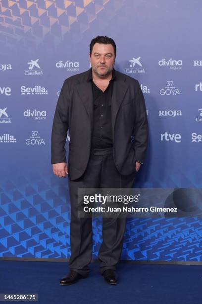 Denis Menochet attends the red carpet at the Goya Awards 2023 at FIBES Conference and Exhibition Centre on February 11, 2023 in Seville, Spain.