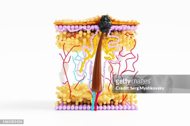abstract microscope model of the hair cuticle with a black dot made from old sebum. - human hair microscope stock pictures, royalty-free photos & images