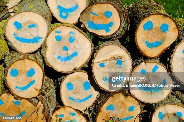 fallen tree trunks, hardwood, with painted smileys, normandy, france - fallen tree stock illustrations
