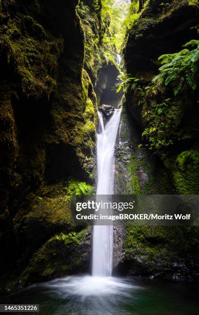 ribeira grande, waterfall in a gorge on pr9 levada do caldeirao verde, madeira, portugal - cidade velha stock-fotos und bilder