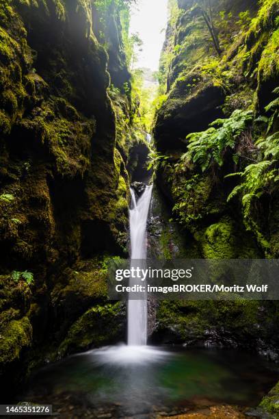 ribeira grande, waterfall in a gorge on pr9 levada do caldeirao verde, madeira, portugal - cidade velha stockfoto's en -beelden