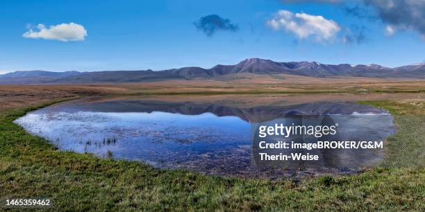 stockillustraties, clipart, cartoons en iconen met mountains reflecting in a lake along the at-bashy range, naryn region, kyrgyzstan - centraal azië