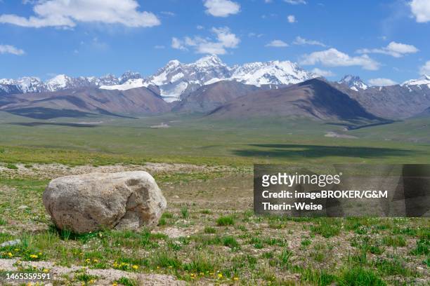 stockillustraties, clipart, cartoons en iconen met mountainscape, tian shan mountains at the chinese border, naryn province, kyrgyzstan - centraal azië