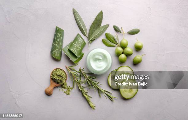 ingredientes cosméticos orgánicos verdes - cucumber leaves fotografías e imágenes de stock