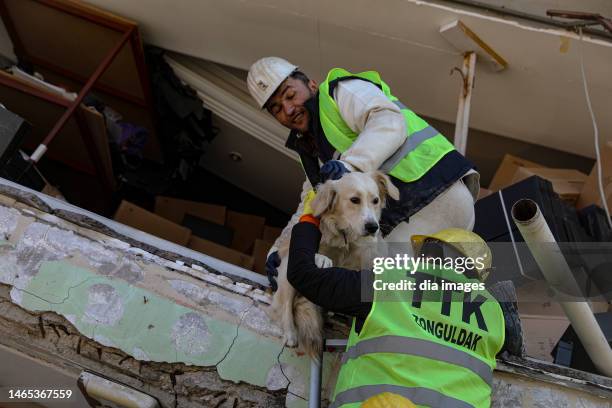 Dog search and rescue team in earthquake zone on February 12, 2023 in Hatay, Türkiye.