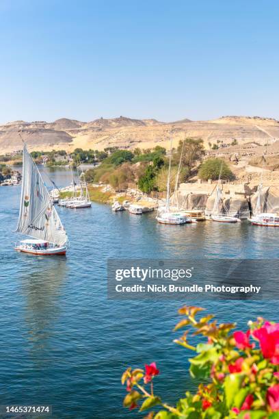 aswan, egypt. - river nile stock pictures, royalty-free photos & images